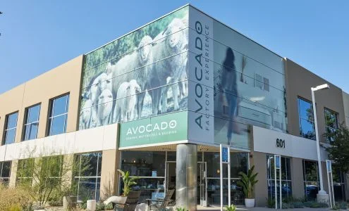 Avocado Green Mattress - Orange County & Outlet Store business photo