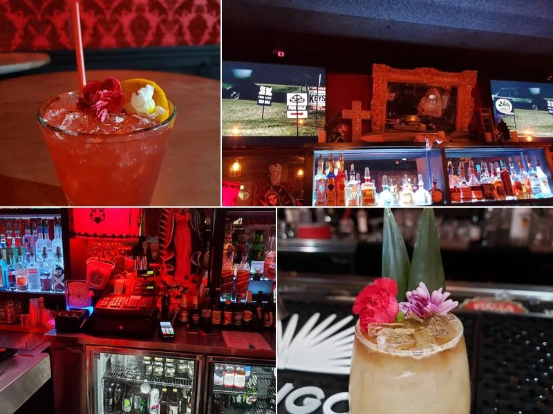 Mi Vida Loca Bar and Lounge business photo