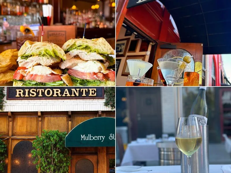 Mulberry St. Ristorante business photo